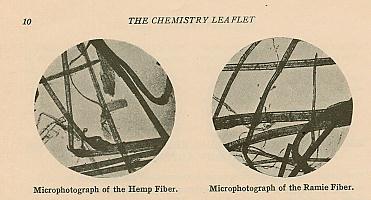 hemp fiber microscopic